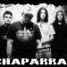 CHAPARRAL