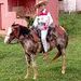 foto de THIAGO BRAGA