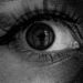 foto de Abda (Abby)