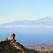 Pico Pico menoriko