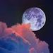 Moon Vídeos