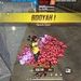 biel gamer