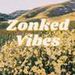 foto de Zonked Vibes