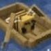 Livia Fortes dos Santos