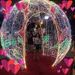 foto de Liliany Alves