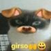 Gilson Do amaral