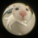 foto de soopo tropoo
