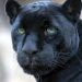 foto de Kevin Hidalgo