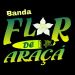 foto de Banda Araçá