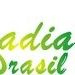 Owzadia do brasil