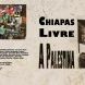 Chiapas Livre