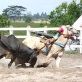 BANDA ESTILO  VAQUEJADA