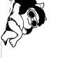 Mafalda Burns e a Mesa de Frios