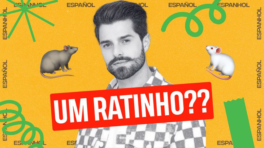 Descubra o verdadeiro significado de &#34;rato&#34; em espanhol