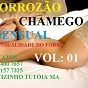 Forrozão Chamego sensual 2012