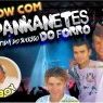 Os Pankanetes do Forró