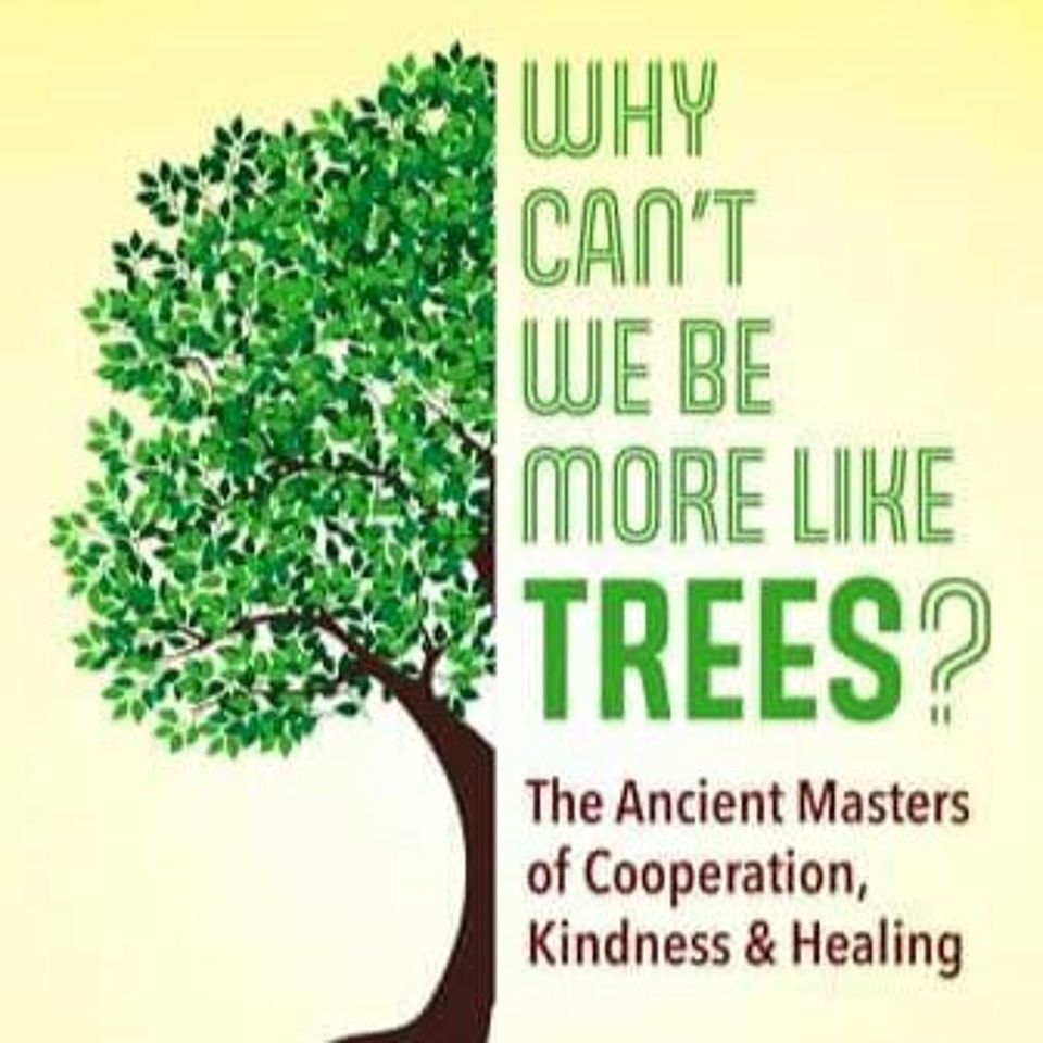 Mantz & Mitchell - 11 - 11 - 23 - Why Can't We Be More Like Trees?