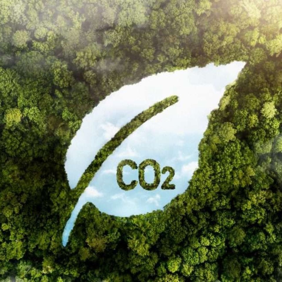 REVIRTIENDO EL DESASTRE CLIMATICO #documental #investigacion #podcast