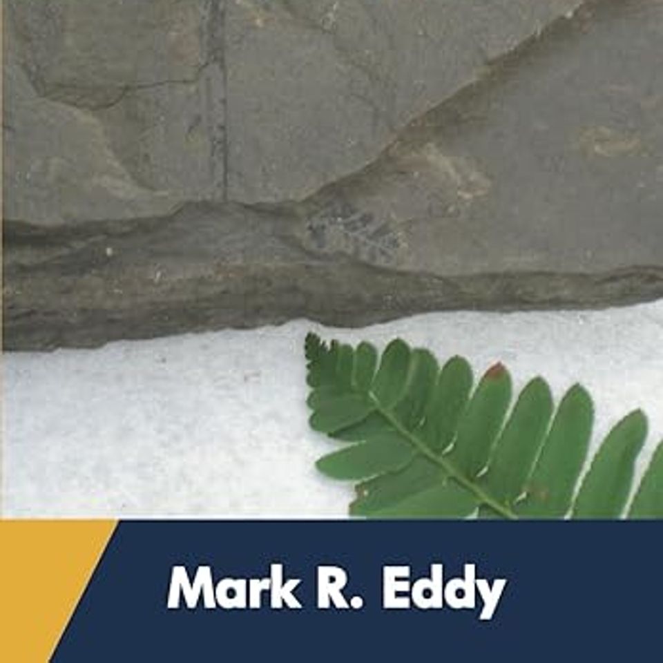 The Ohio Valleys Antiquarians and what they discovered with Mark Eddy