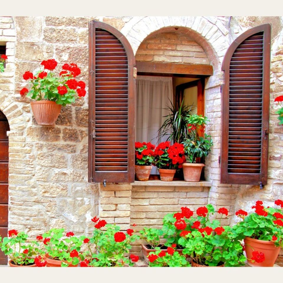 Kangaroo Island da scoprire in italiano, grazie a Luca Lovison