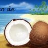 bagaço de coco