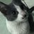 Niny _HB