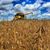 Patrick Scherdien