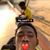 Guilherme Francisco