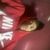 Ranael de Oliveira Cr7