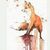 Fox Craft