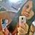 Melissa Lobato