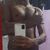 Anderson Andrade