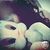 Areli M