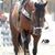 Jose Marcio Martins Nascimento