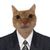Anashei_2028