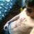 bruno0_0ks