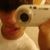 Caio Henrique