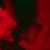 Lilith Rebelium