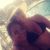 Patricia Cauper