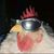 Frango