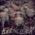 Evencloser 