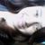 Lorena R.