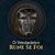 Rune Foi