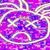 444_Bonna