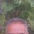 Rodrigo Jose pereira freitas