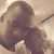 Loti Ricardo