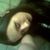 Katiane Couto