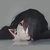T sury