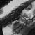 Fefe