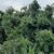 Matheus Natureza
